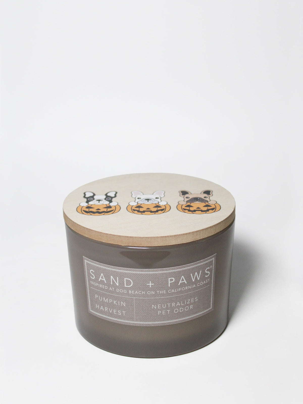 Sand + Paws Pumpkin Harvest 12 oz cozy scented candle