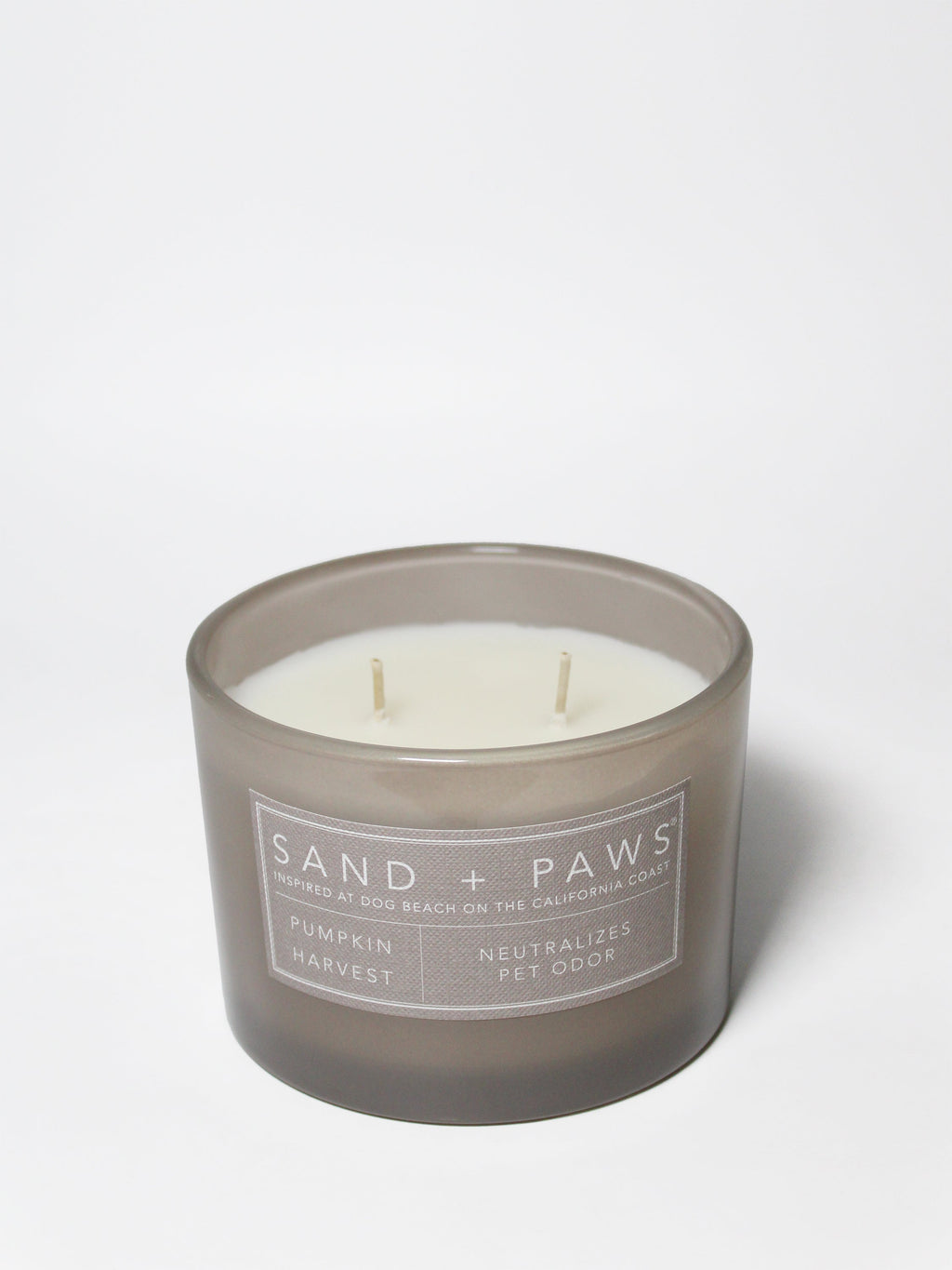 Sand + Paws Pumpkin Harvest 12 oz cozy scented candle