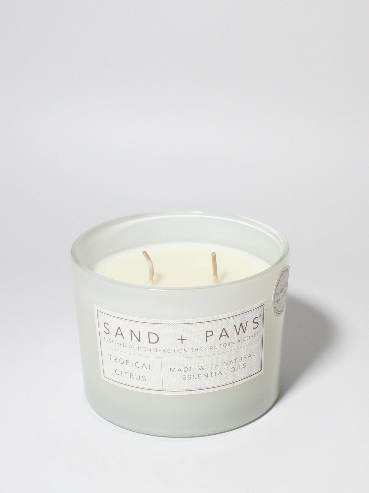 Sand + Paws Tropical Citrus 12 oz cozy scented candle