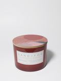 Sun-n-Fun 12 oz cozy scented candle