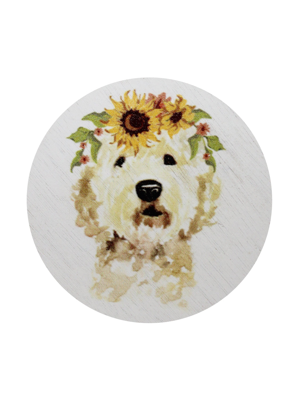 Sand + Paws Mango Tangerine 12 oz refreshing scented candle