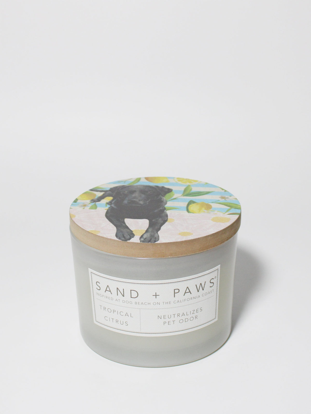 Sand + Paws Tropical Citrus 12 oz cozy scented candle