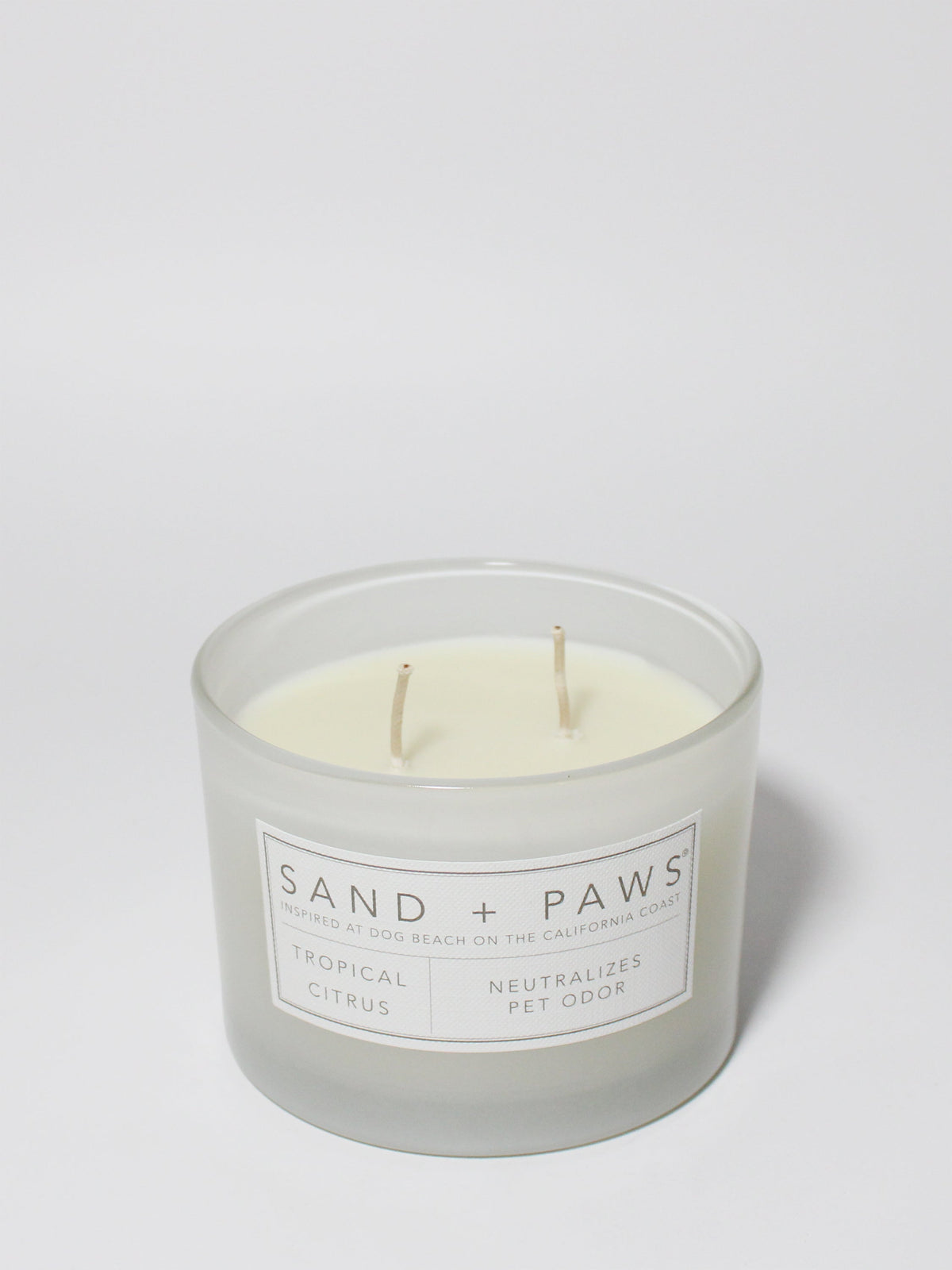 Sand + Paws Tropical Citrus 12 oz cozy scented candle