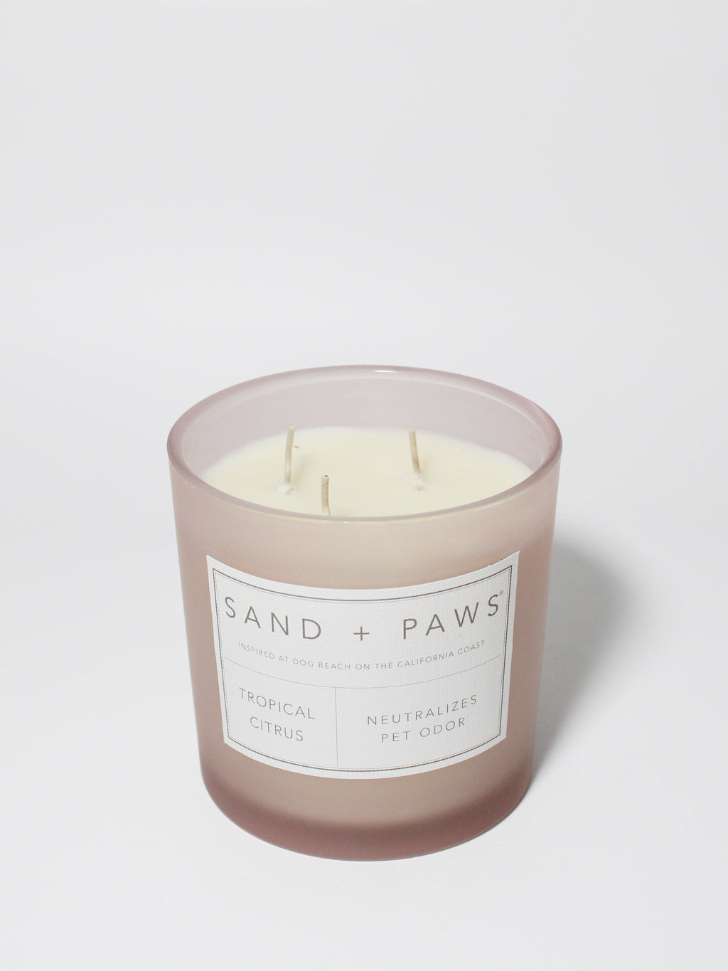 Sand + Paws Tropical Citrus 21 oz cozy scented candle