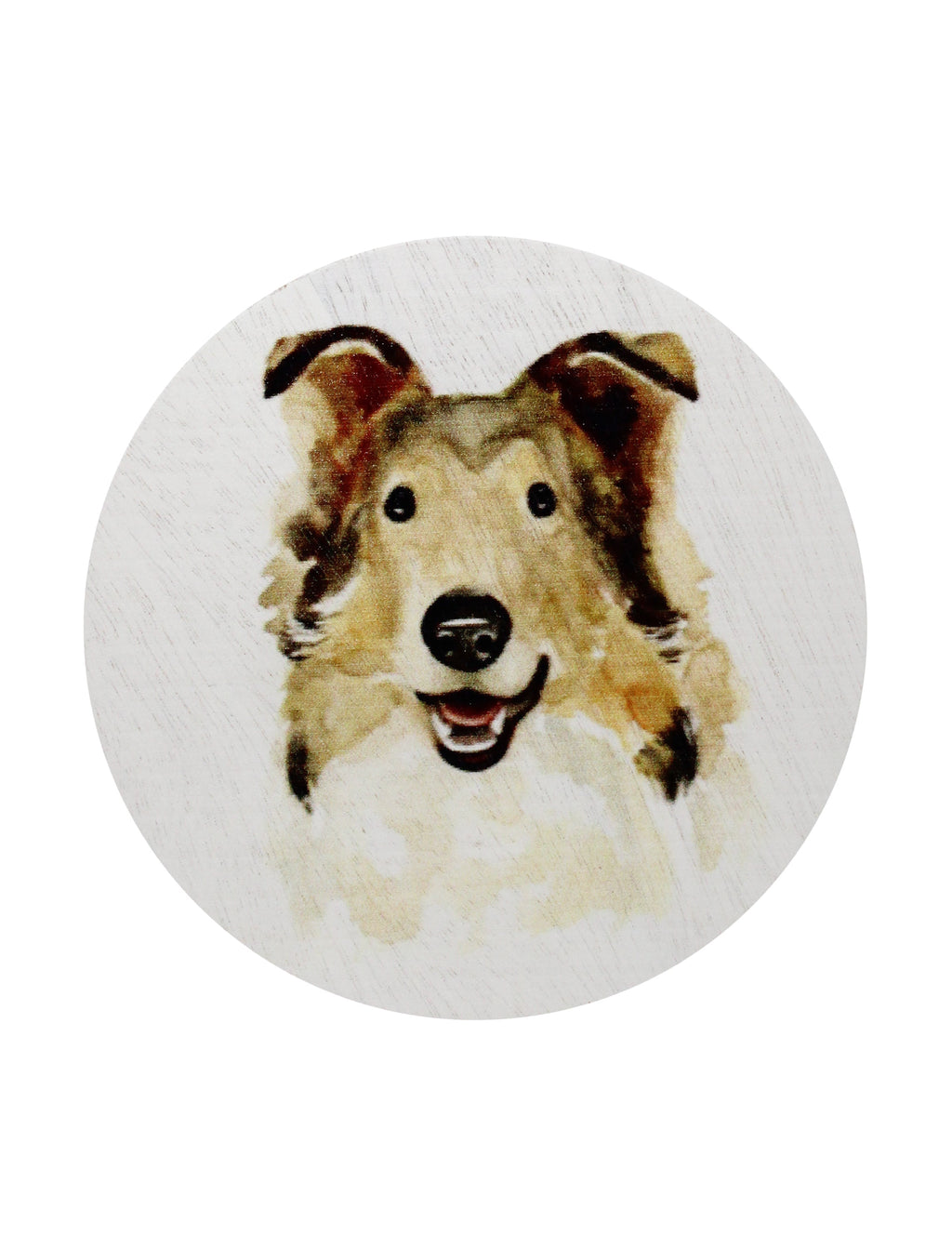 Sand + Paws Desert Rain 12 oz refreshing scented candle