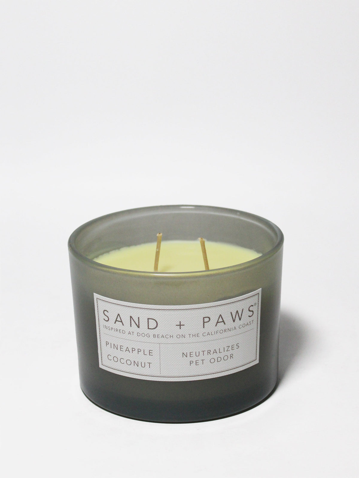 Sand + Paws Pineapple Coconut 12 oz cozy scented candle