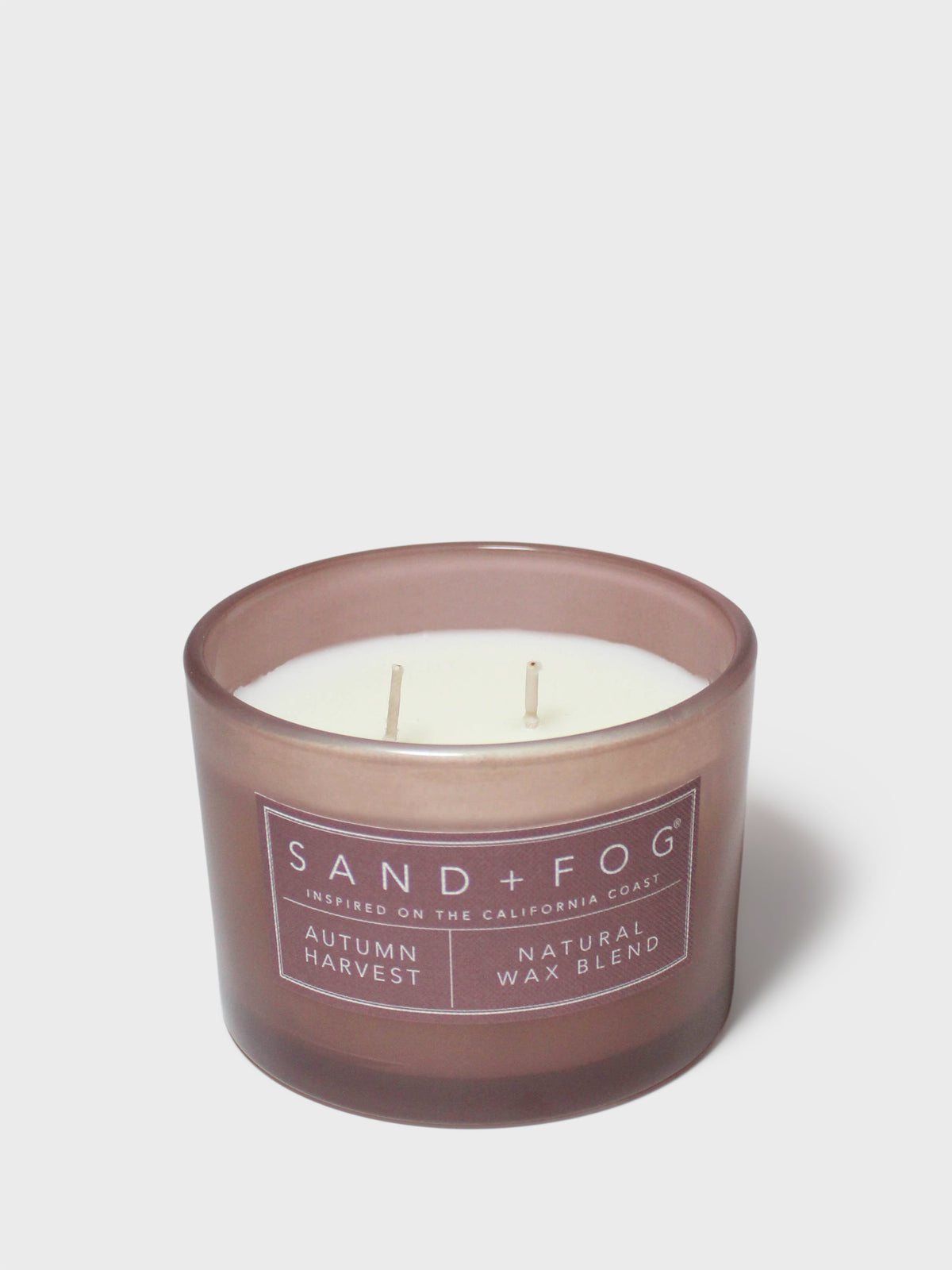 Autumn Harvest 12 oz cozy scented candle