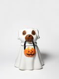 Sand + Paws Jack-o'-Lantern 11 oz cozy scented candle