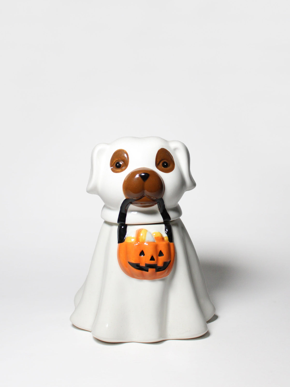 Sand + Paws Jack-o'-Lantern 11 oz cozy scented candle