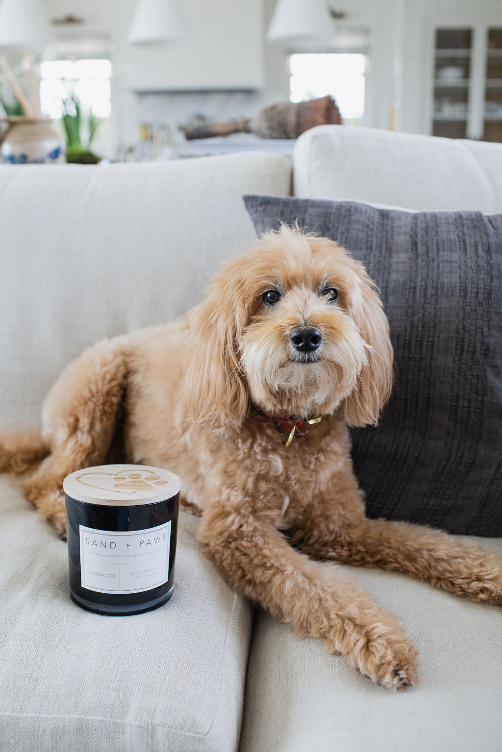 Sand + Paws Teakwood 21 oz cozy scented candle