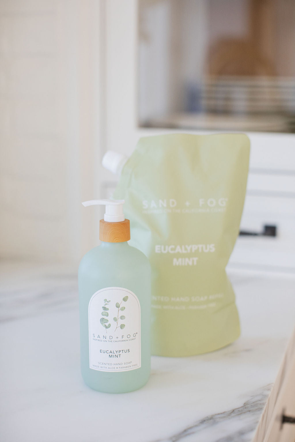 Eucalyptus Mint 34 oz Gentle Liquid Hand Soap Refill Bag
