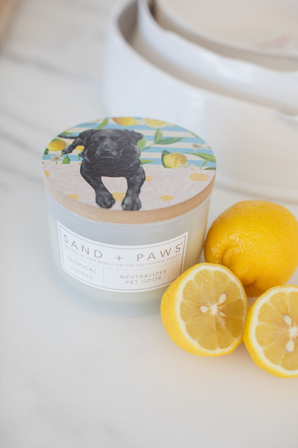 Sand + Paws Tropical Citrus 12 oz cozy scented candle
