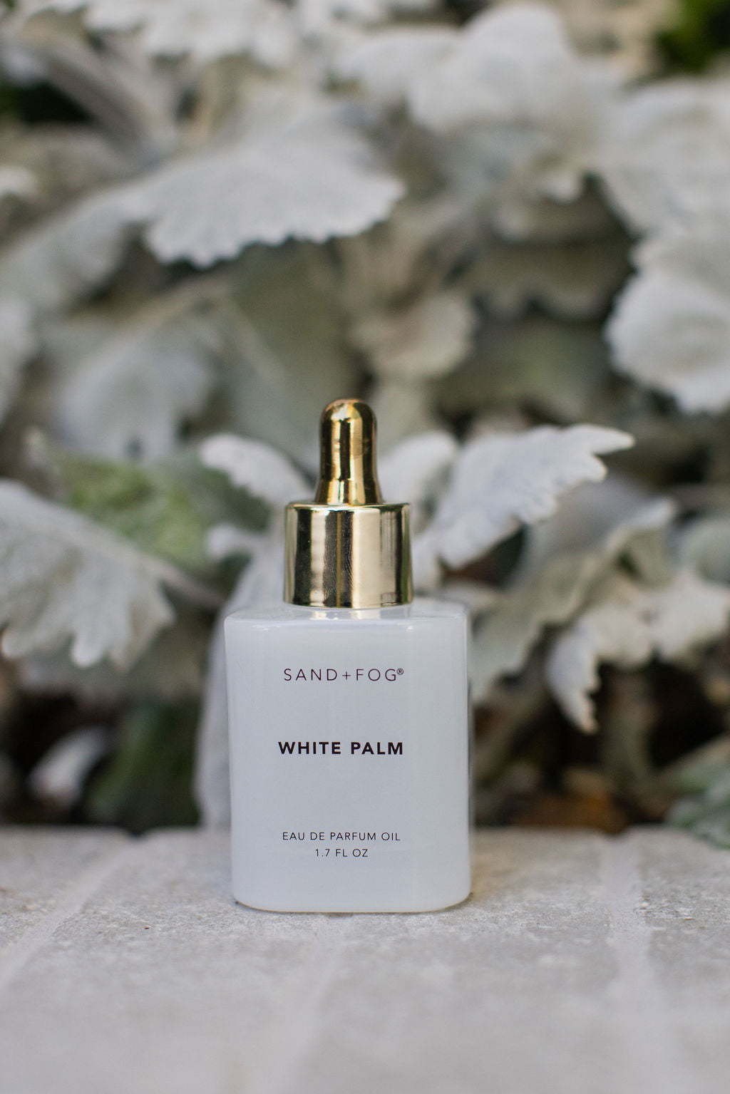 White Palm 50 ml Long-Lasting Perfume Oil Dropper