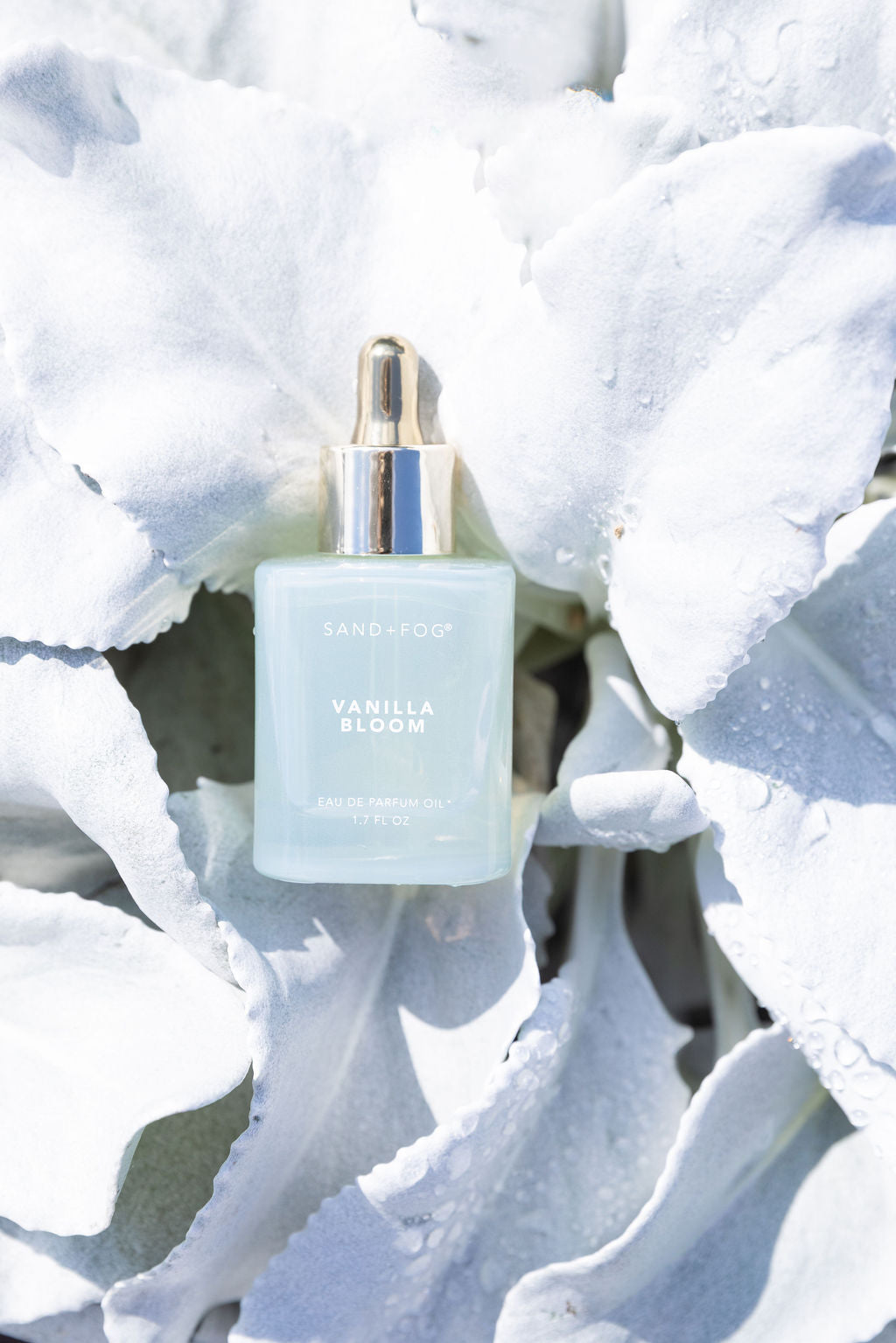 Vanilla Bloom 50 ml Long-Lasting Perfume Oil Dropper