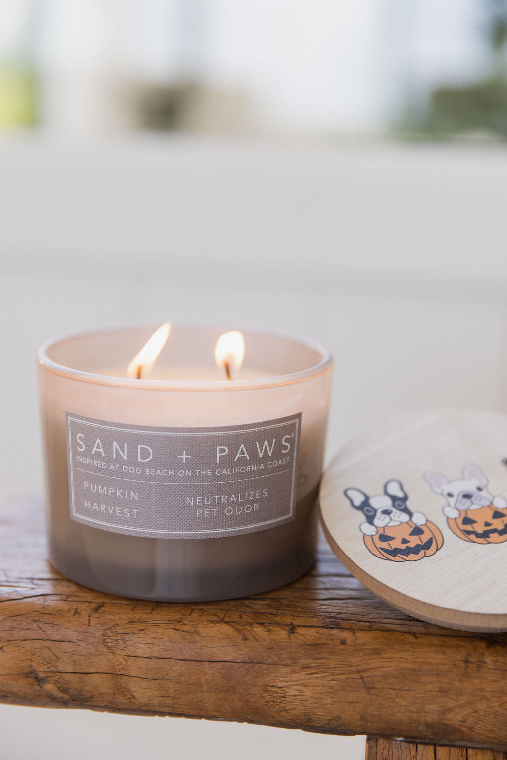 Sand + Paws Pumpkin Harvest 12 oz cozy scented candle