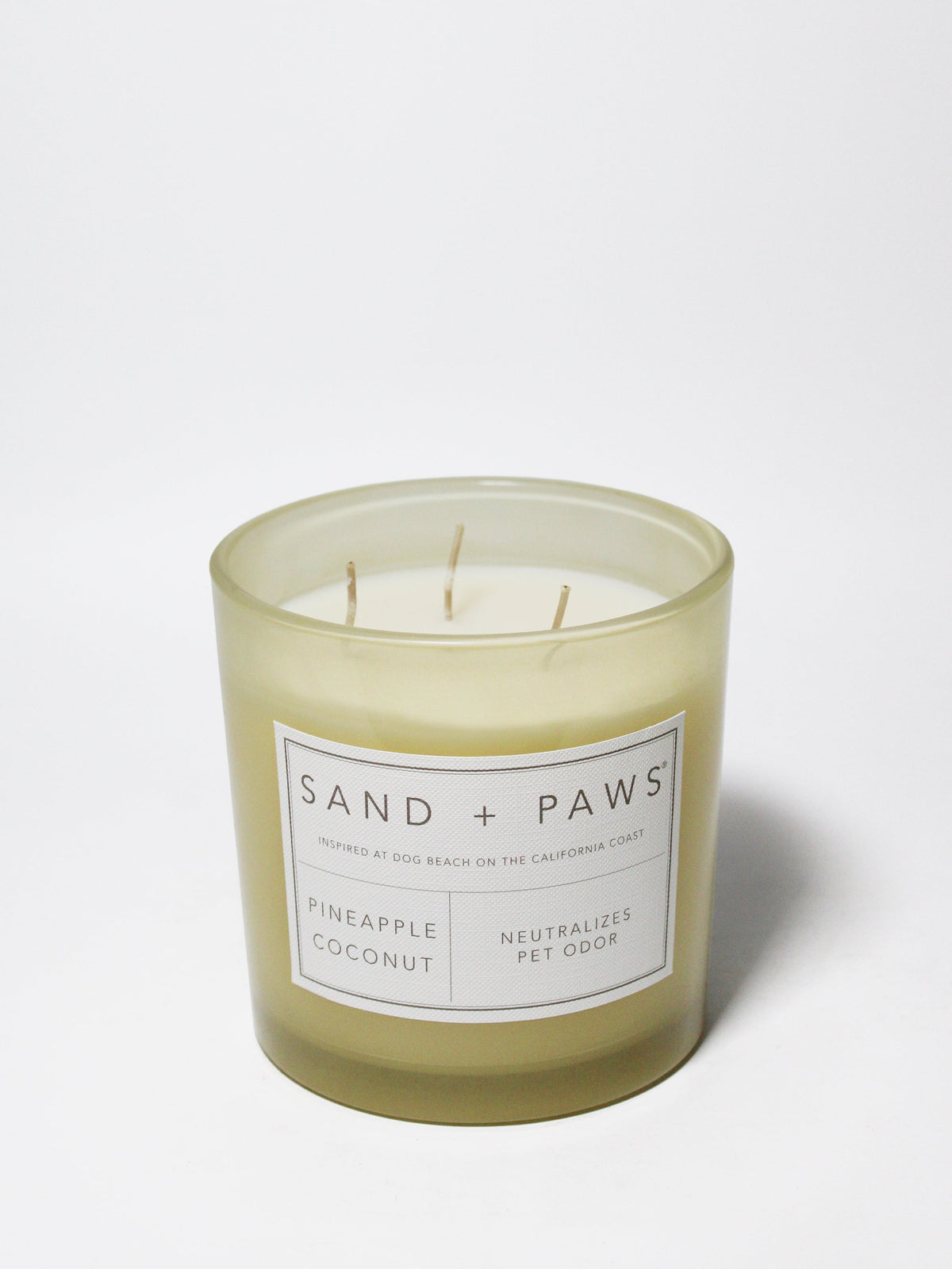 Sand + Paws Pineapple Coconut 21 oz cozy scented candle