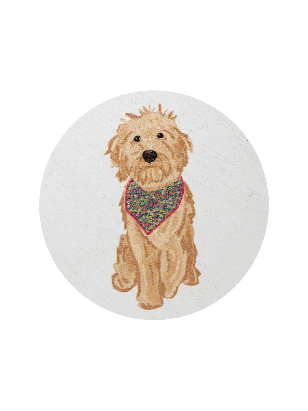 Sand + Paws Laundry Day 12 oz fresh scented candle