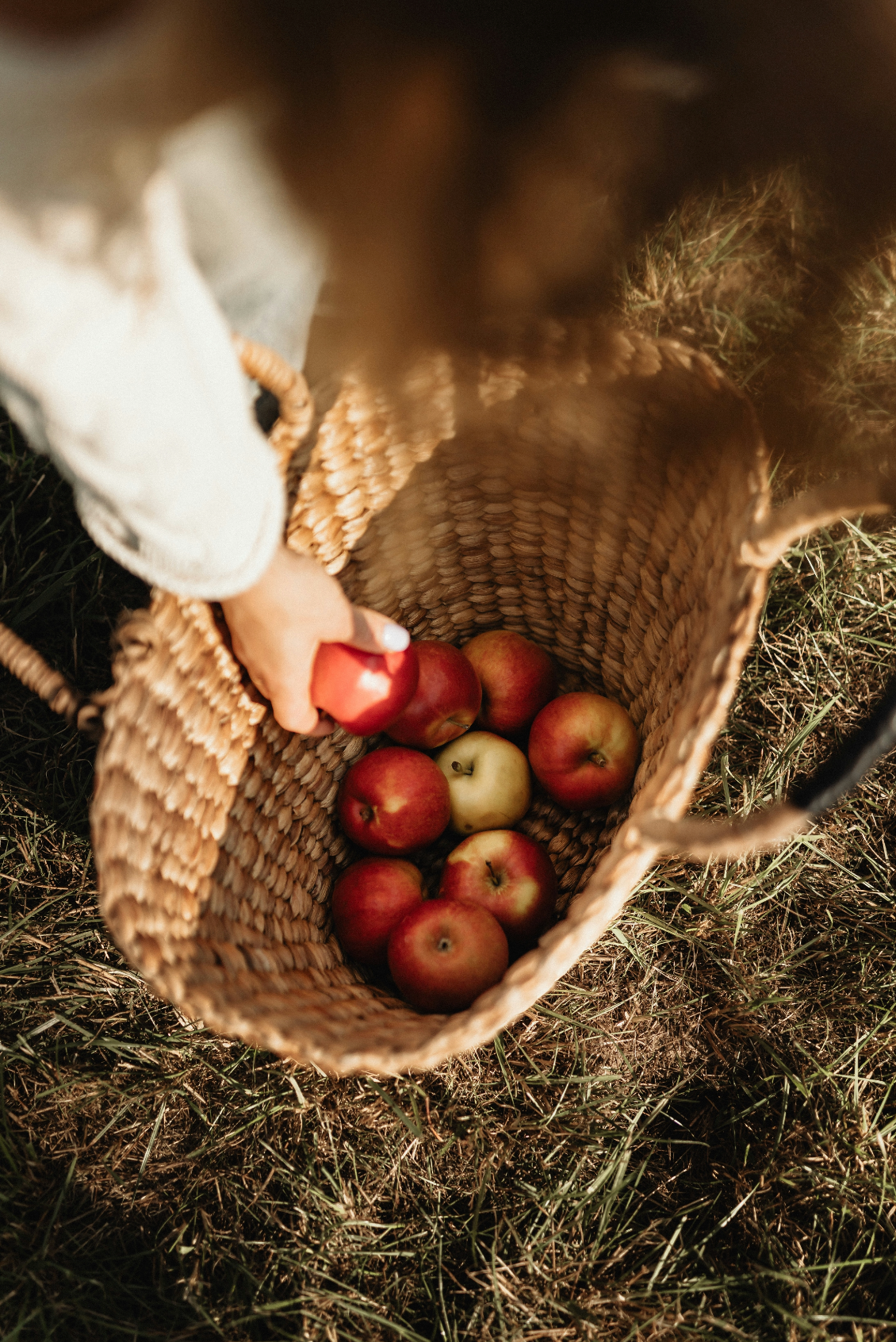 Apple Picking 12 oz cozy scented candle