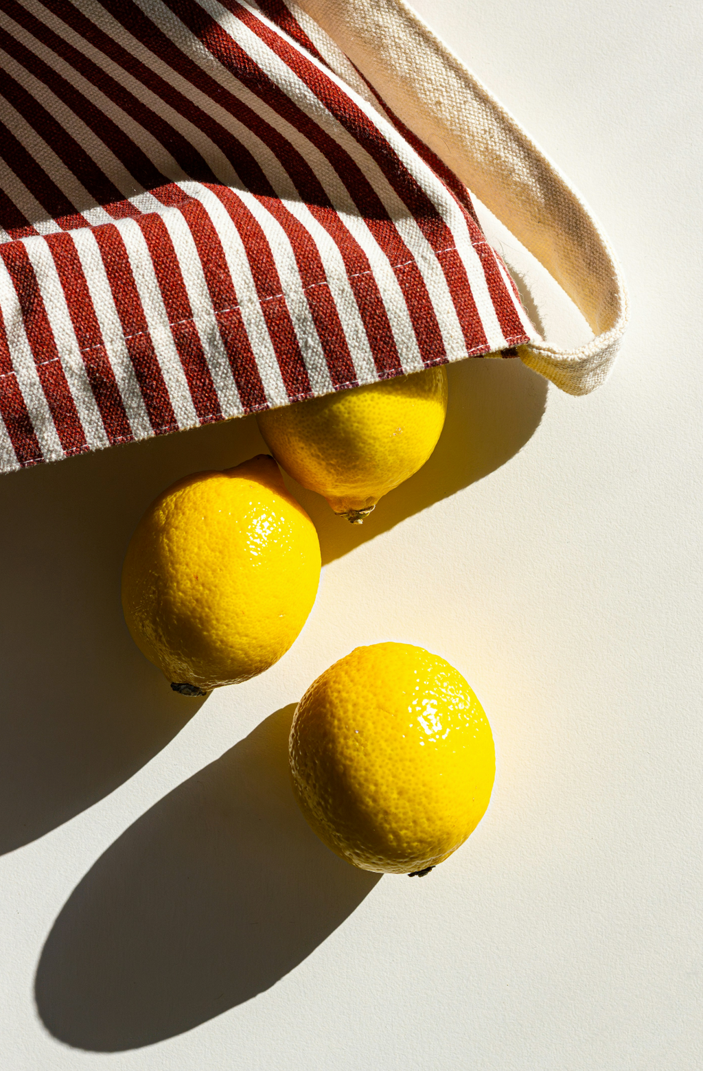 Sand + Paws California Citron 12 oz refreshing scented candle