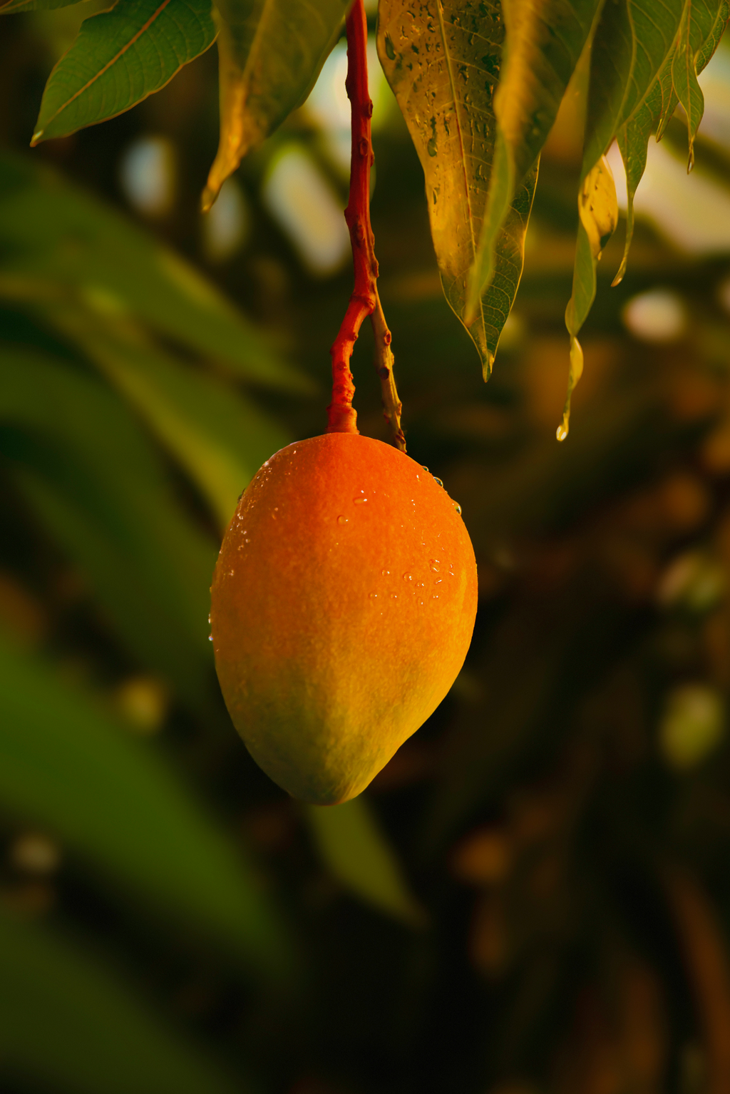 Guava Mango 25.4 oz Fresh All-Purpose Spray Cleaner