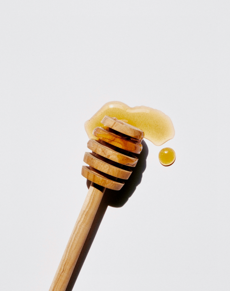 Sweet Honey 10 oz cozy scented candle