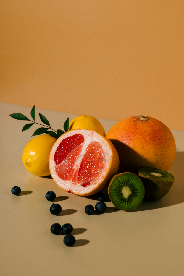 Sand + Paws Tropical Citrus 21 oz cozy scented candle