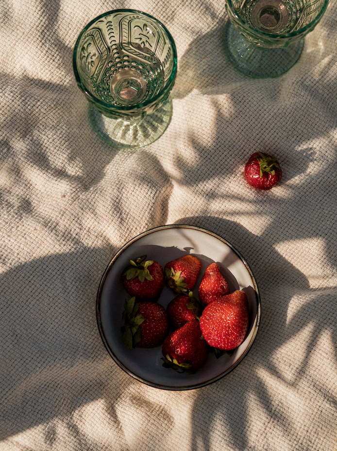 Sand + Paws Strawberry Mimosa 12 oz cozy scented candle