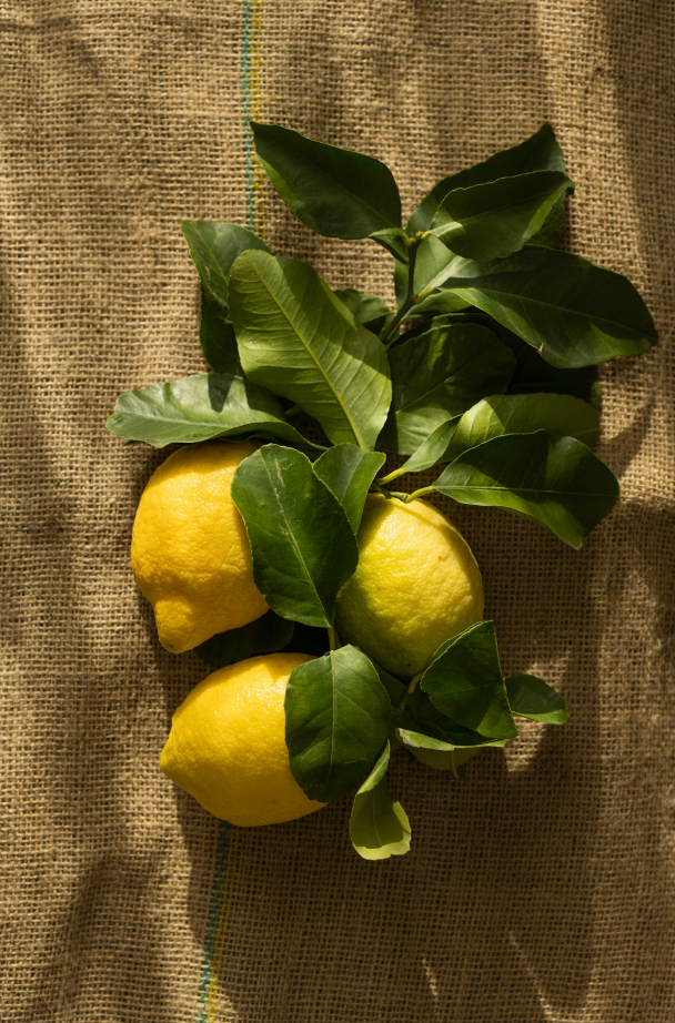 Olive & Lemon 10 oz refreshing scented candle