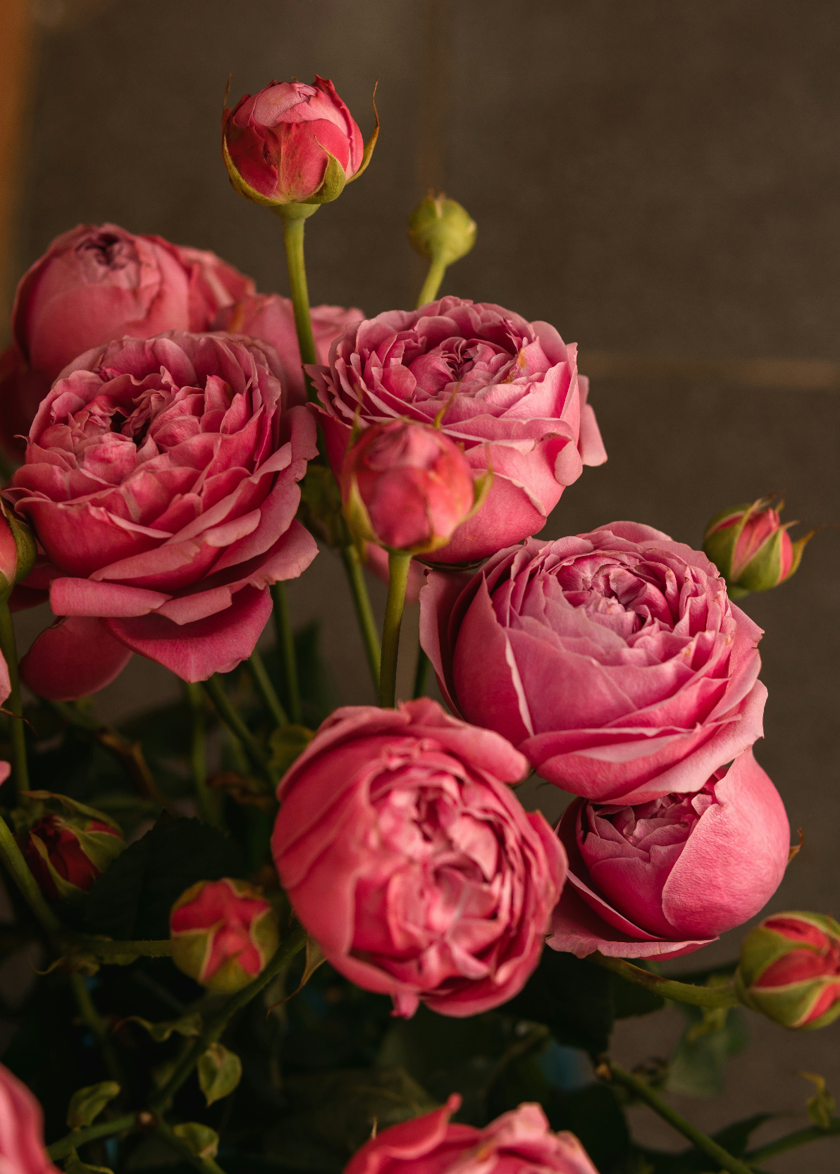 Rose & Peony 50 ml Long-Lasting Perfume Oil Dropper