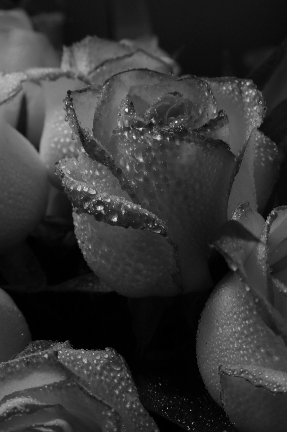 Rose Dew 50ml Long-Lasting Perfume Oil Dropper