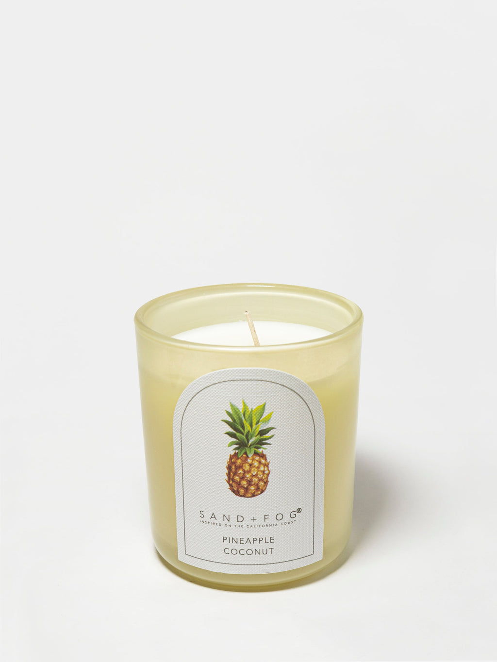 Pineapple Coconut 10 oz refreshing scented candle