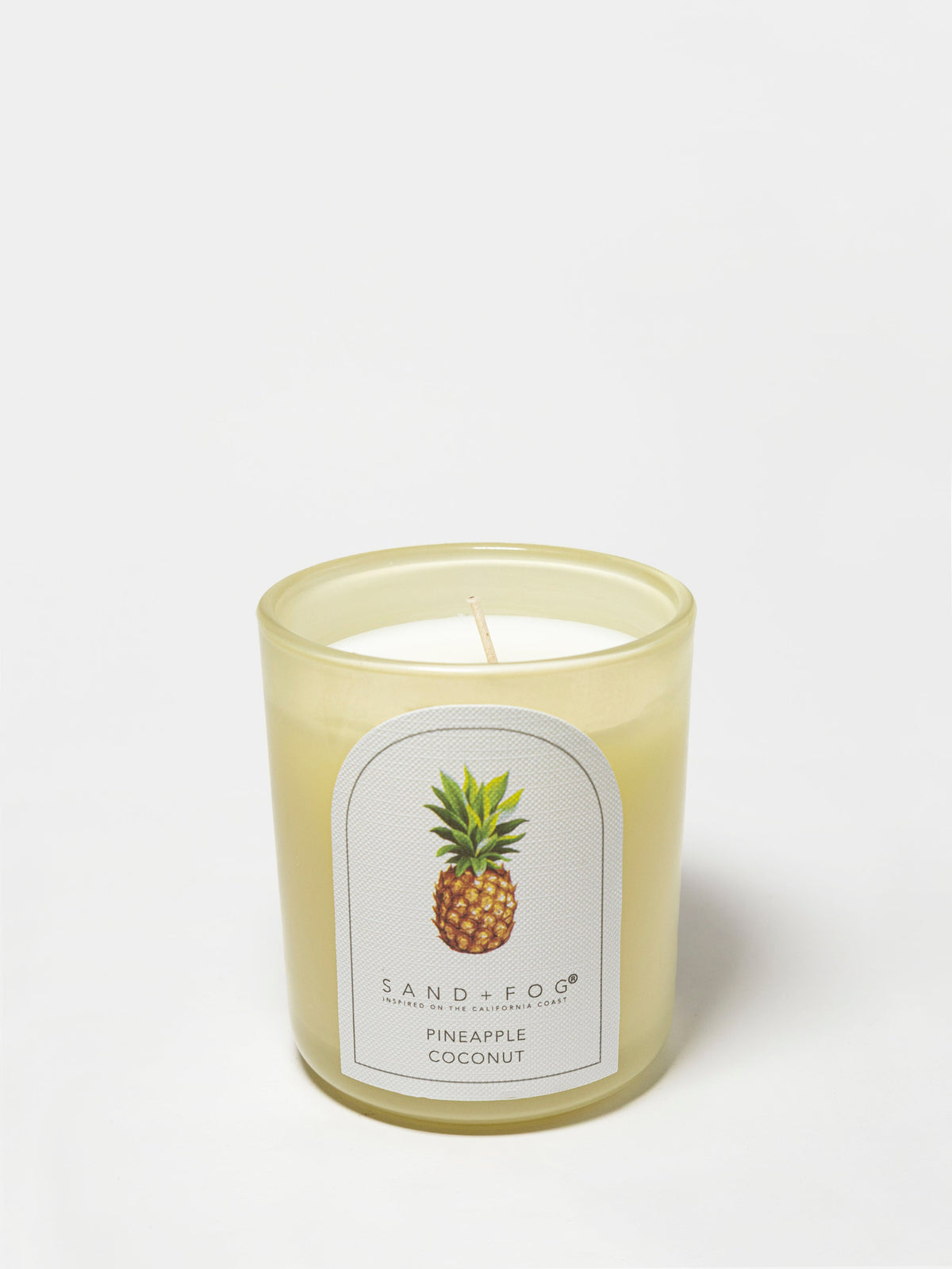 Pineapple Coconut 10 oz refreshing scented candle