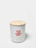 Tropical Citrus 10 oz fresh scented candle