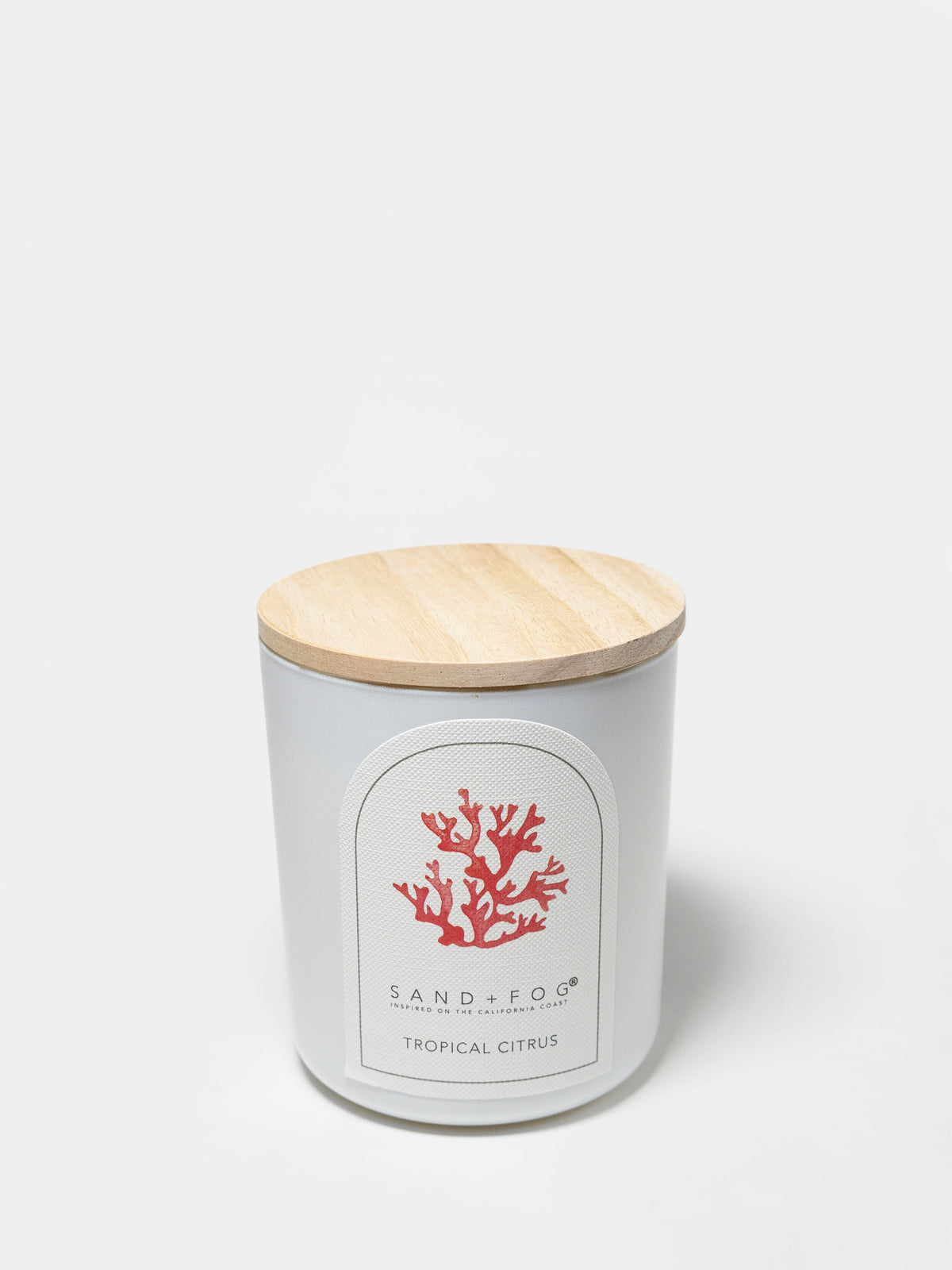 Tropical Citrus 10 oz fresh scented candle