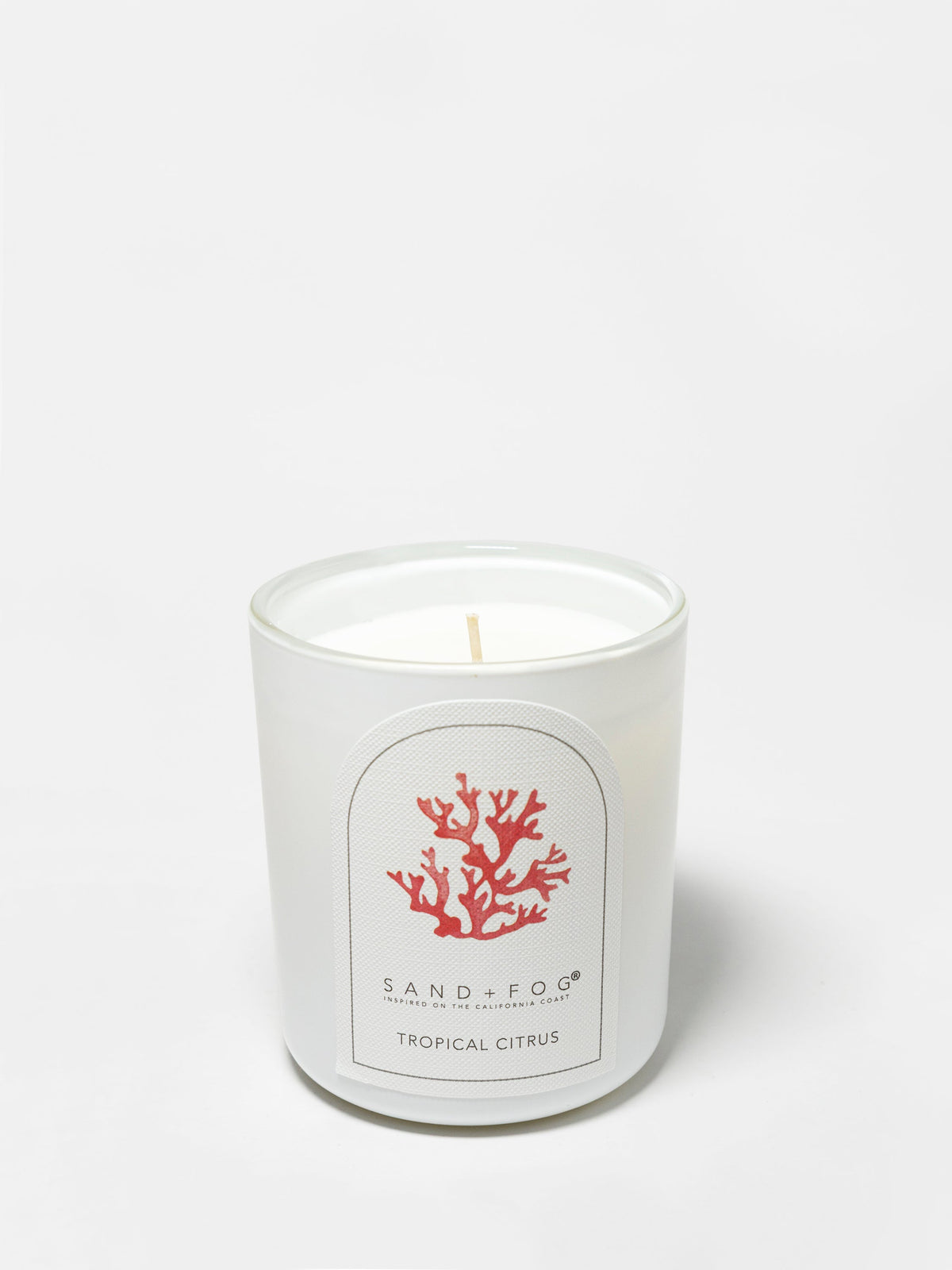 Tropical Citrus 10 oz fresh scented candle