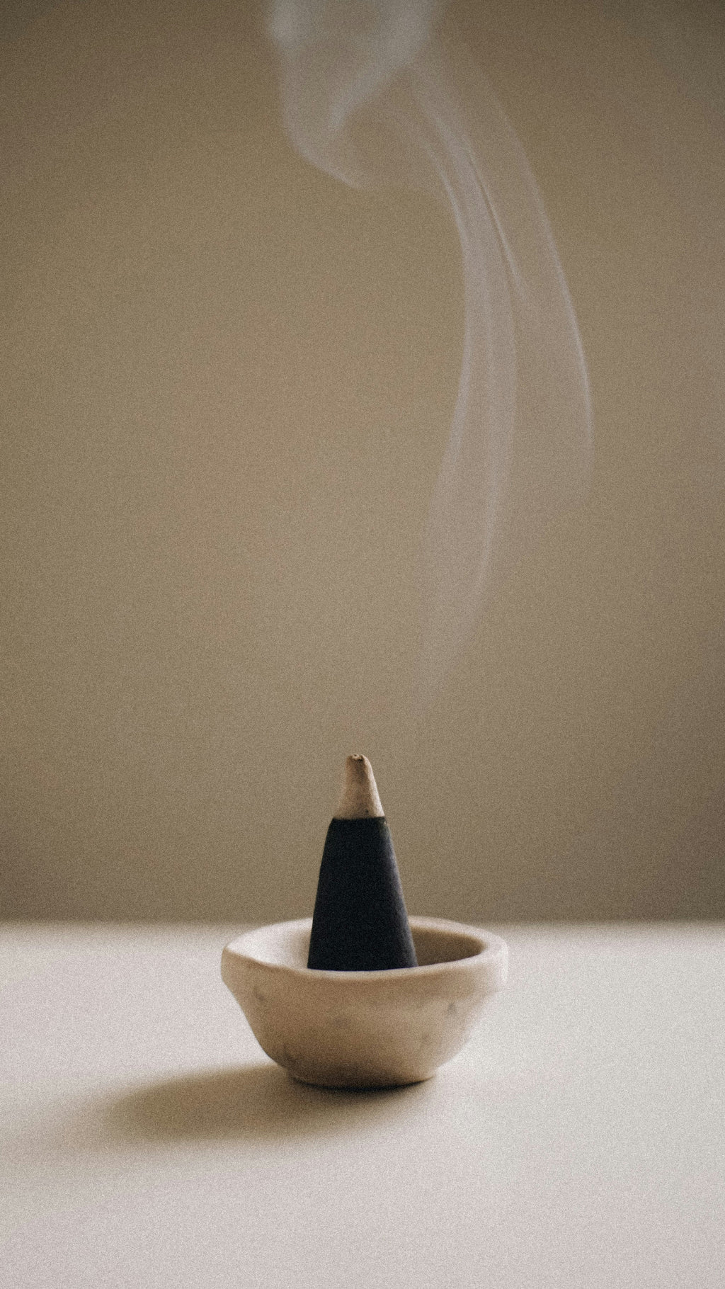 Saddle & Cardamom 12 oz warm scented candle