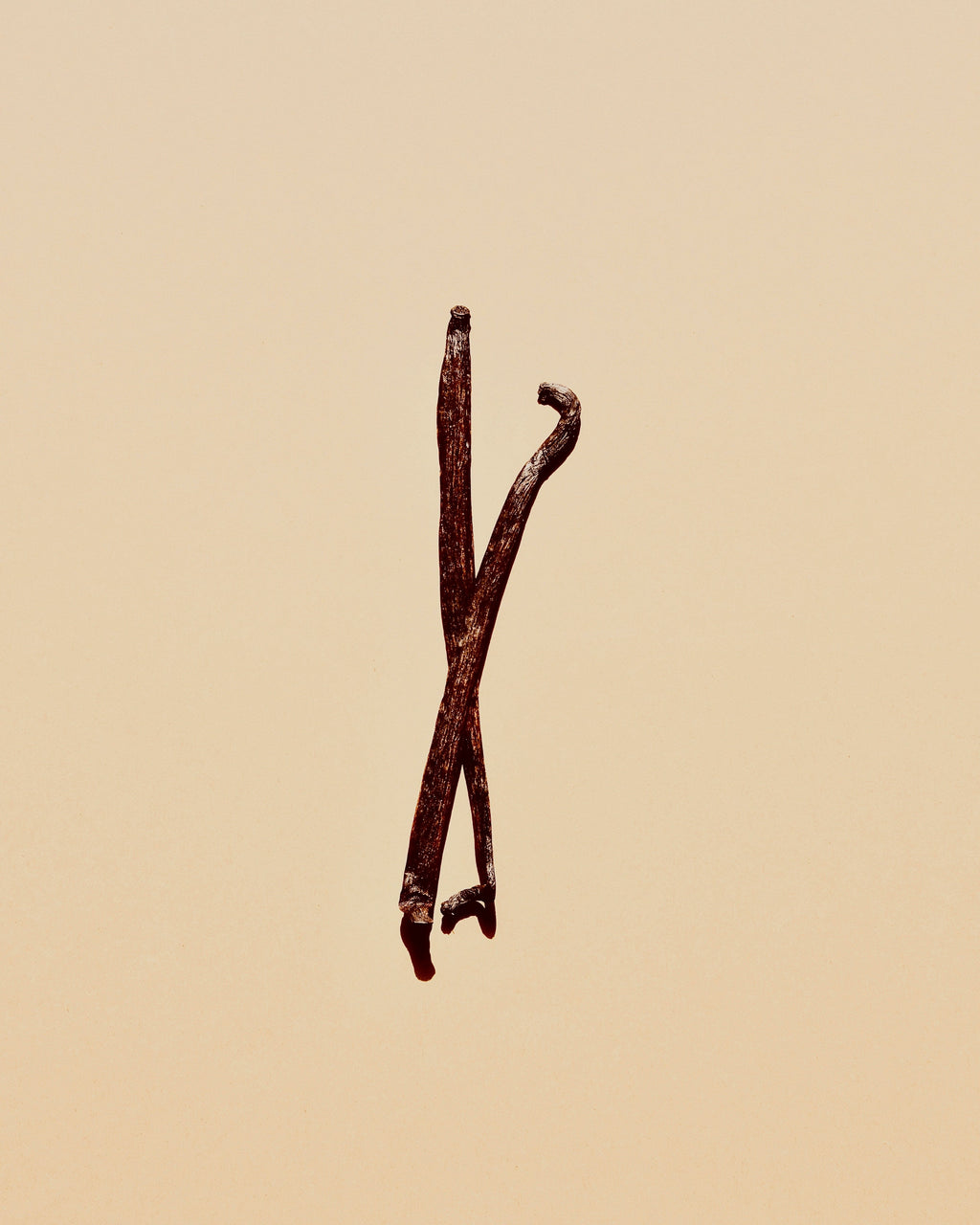 Vanilla Musk 16.9 oz Rich Whipped Body Butter