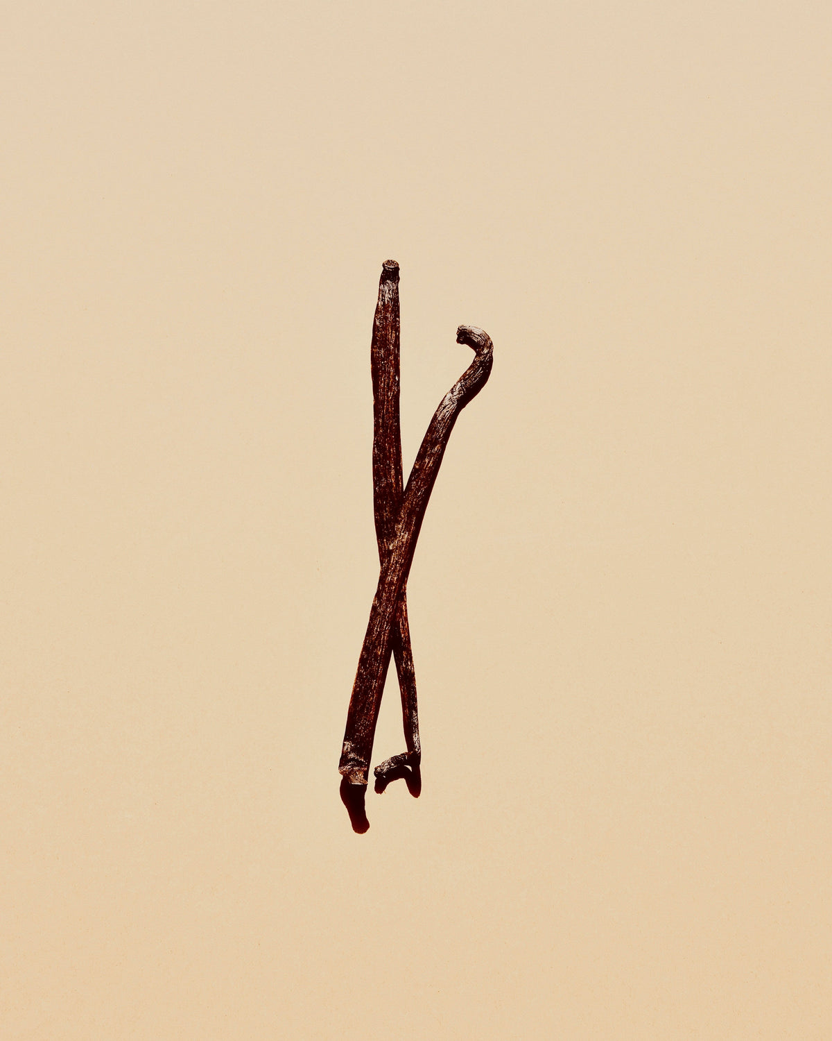 Vanilla Musk 21 oz cozy scented candle