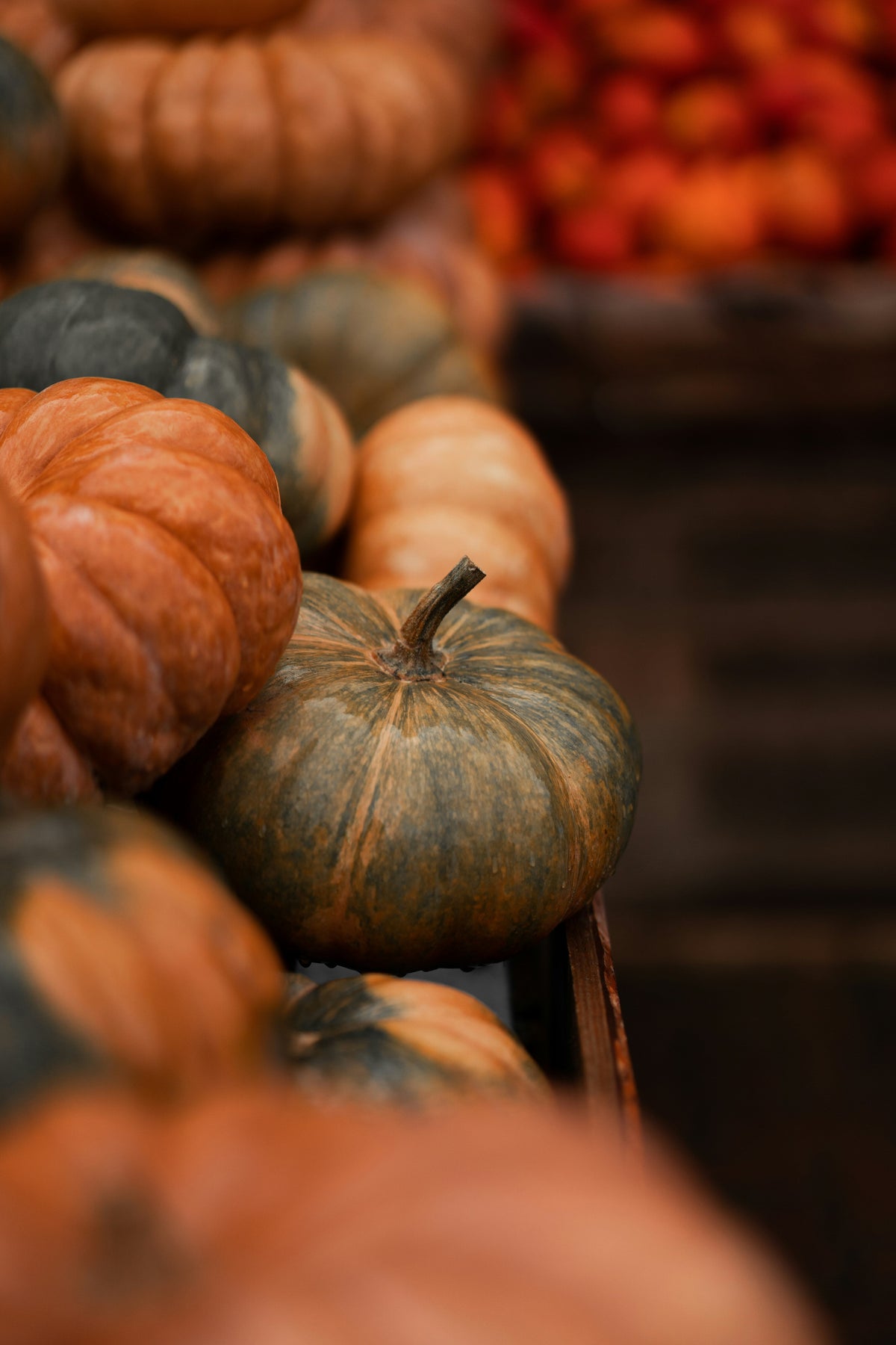 Cinnamon Pumpkin 12 oz warm scented candle